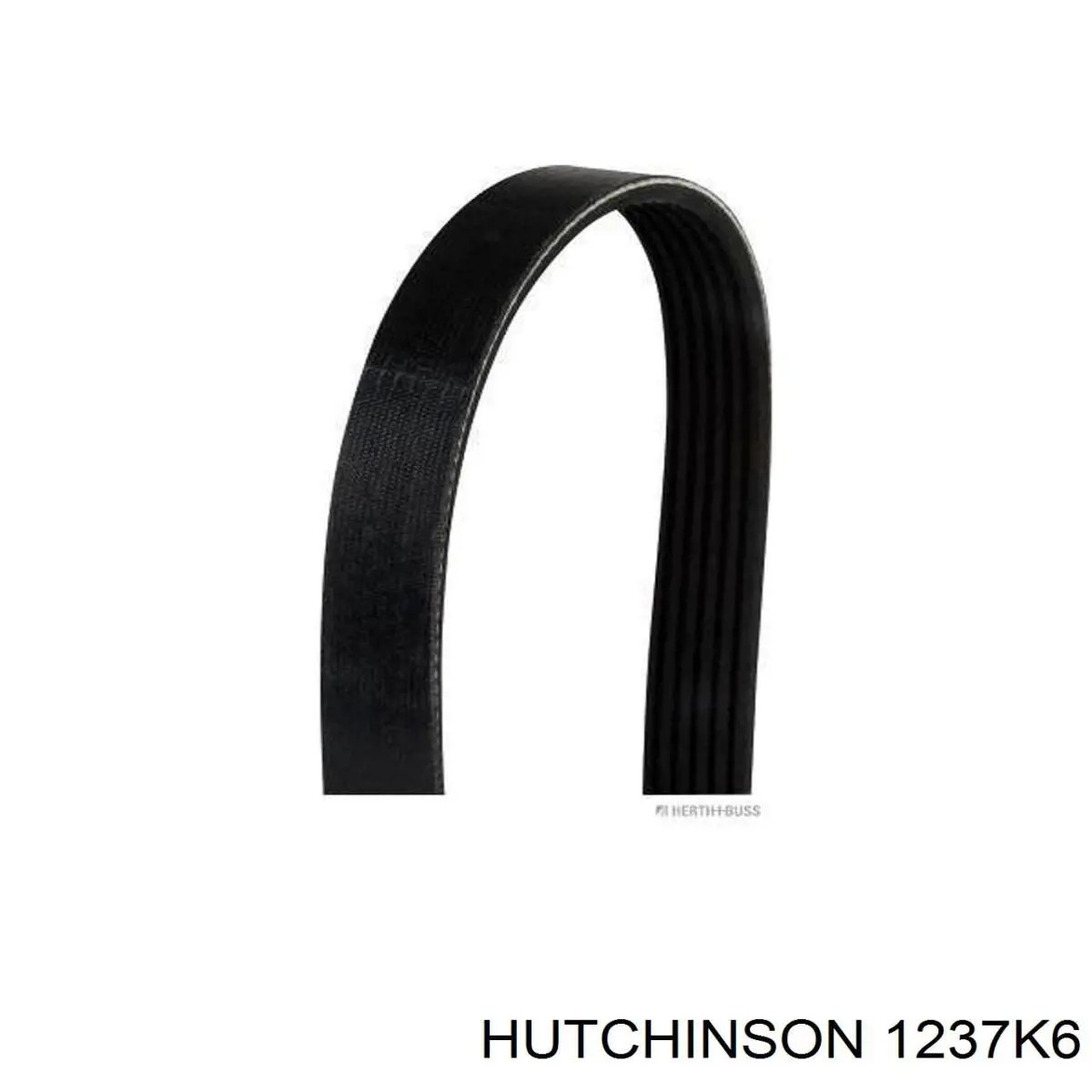 Клиновый ремень Hutchinson 1237K6 цена, от 9.96 USD