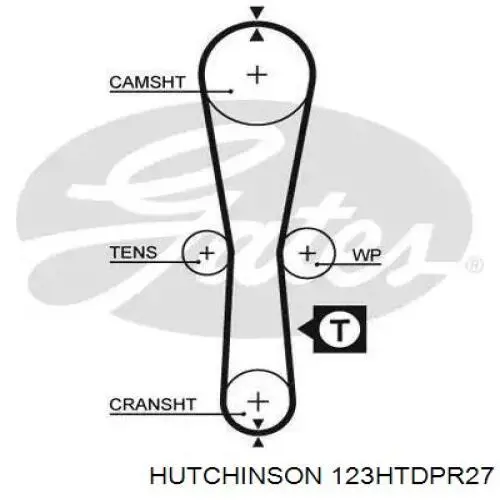 Ремень ГРМ 123HTDPR27 Hutchinson