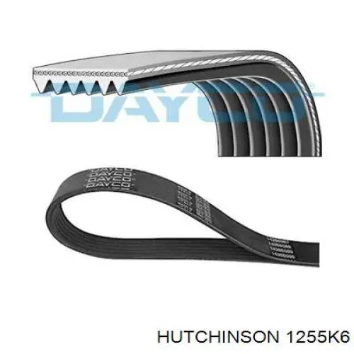 Ремень генератора 1255K6 Hutchinson
