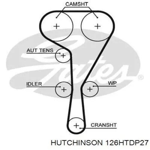 Correa distribucion 126HTDP27 Hutchinson