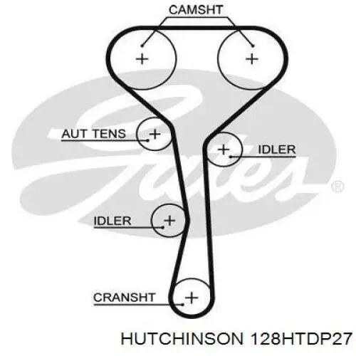 Correa distribucion 128HTDP27 Hutchinson