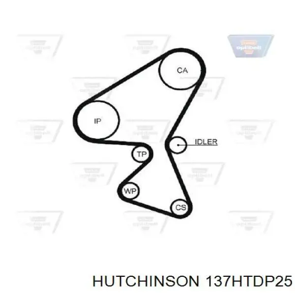 ГРМ ремни Hutchinson 137HTDP25