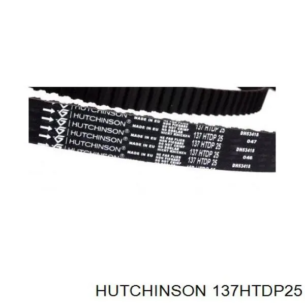 Correa distribucion 137HTDP25 Hutchinson