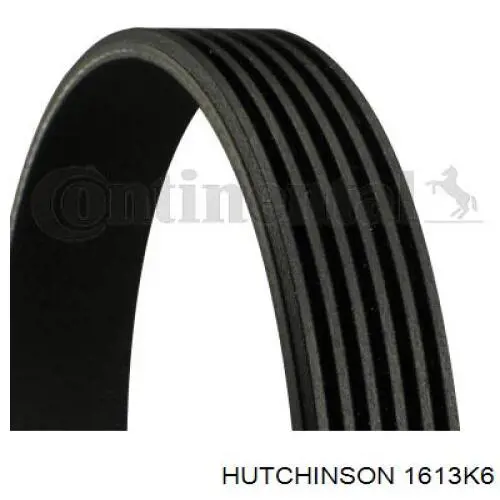1613K6 Hutchinson Поликлиновый ремень