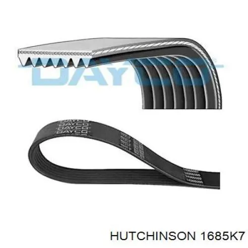 1685K7 Hutchinson