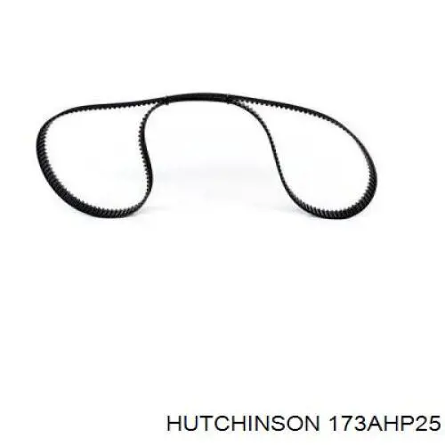 Купить 173AHP25 Hutchinson Ремень газораспределительного механизма