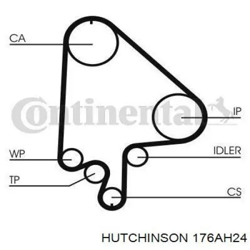 Correa distribucion 176AH24 Hutchinson