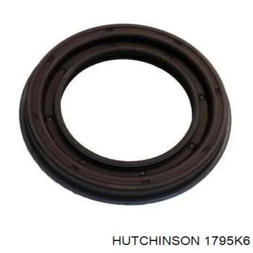 Клиновый ремень Hutchinson 1795K6 цена, от 13.21 USD