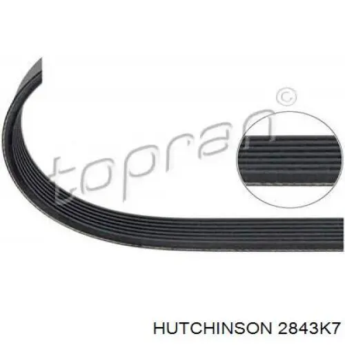 Клиновый ремень Ford 1372764 цена, от 28.40 USD