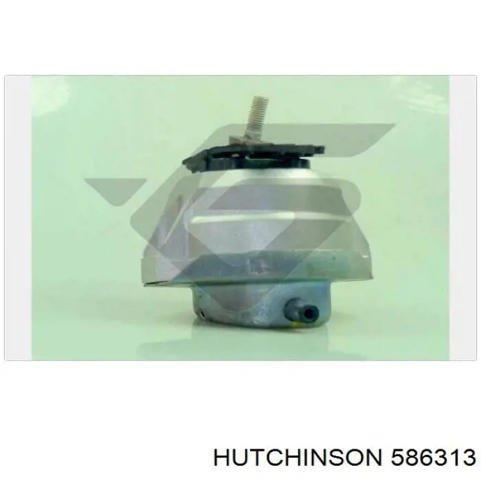 586313 Hutchinson