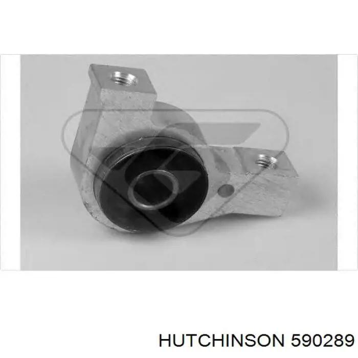 Купить 590289 Hutchinson Сайлентблок заднего продольного нижнего рычага