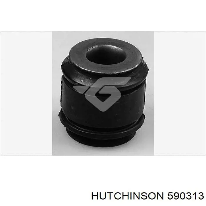 590313 Hutchinson