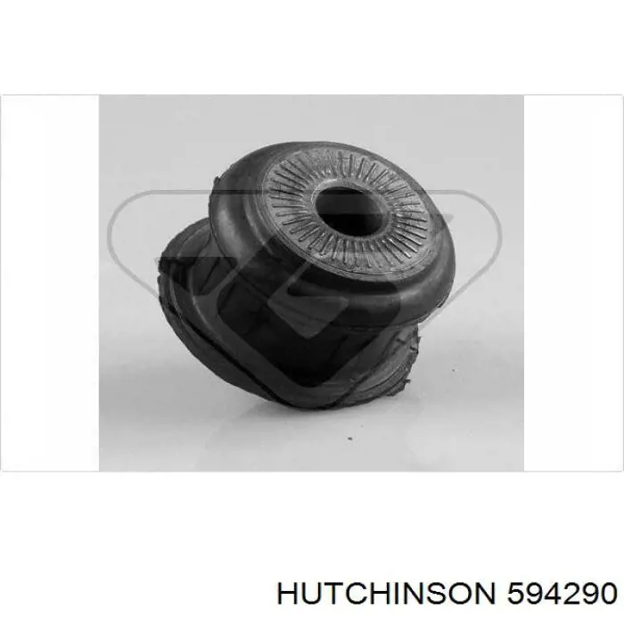 594290 Hutchinson