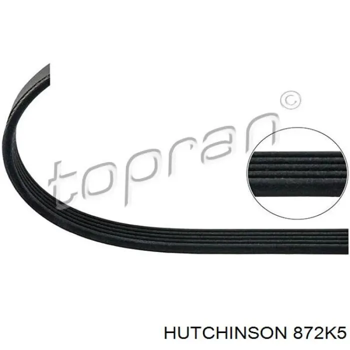 Correa trapezoidal 872K5 Hutchinson