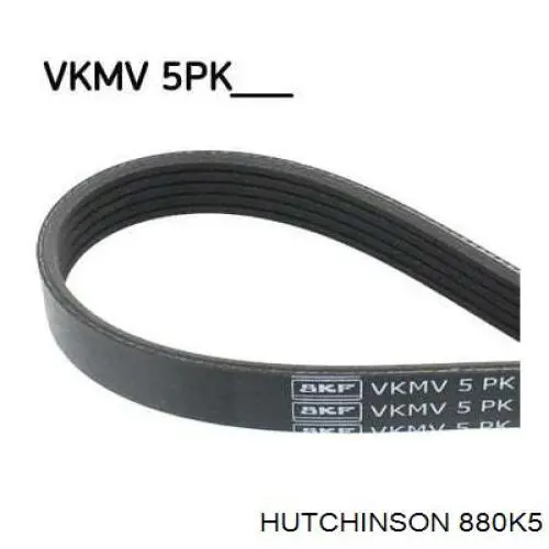 880K5 Hutchinson Поликлиновый ремень