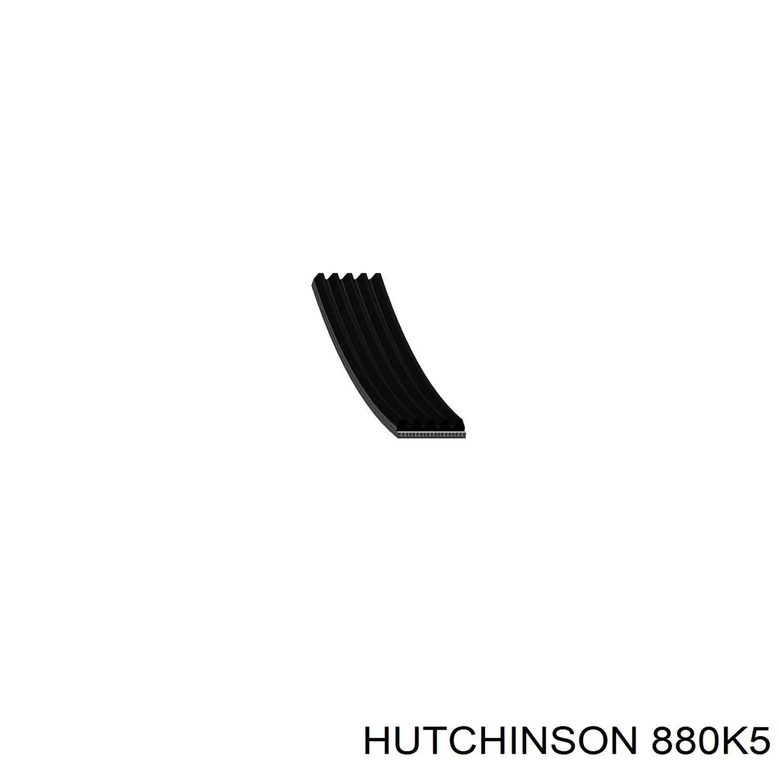 Клиновый ремень Hutchinson 880K5 цена, от 6.71 USD