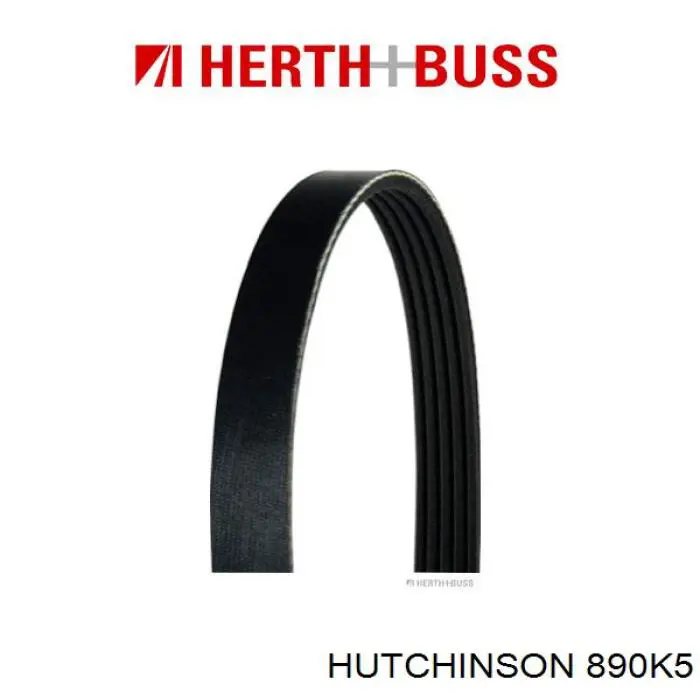 Клиновый ремень Hutchinson 890K5 цена, от 6.57 USD