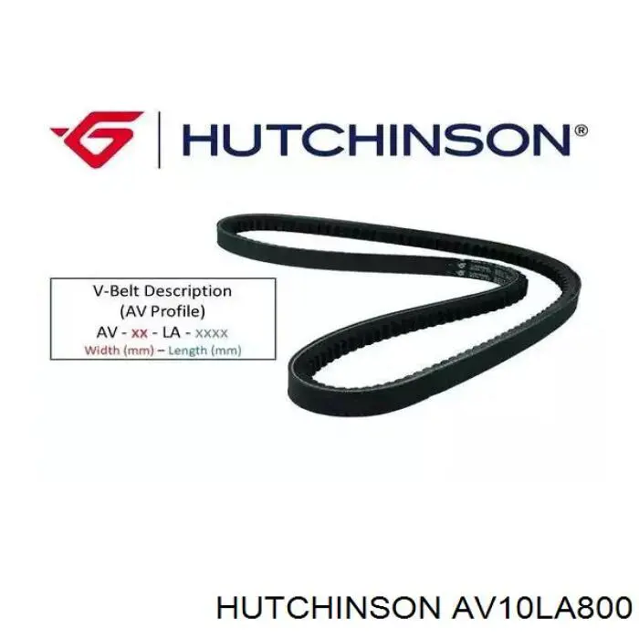Ремень генератора AV10LA800 Hutchinson