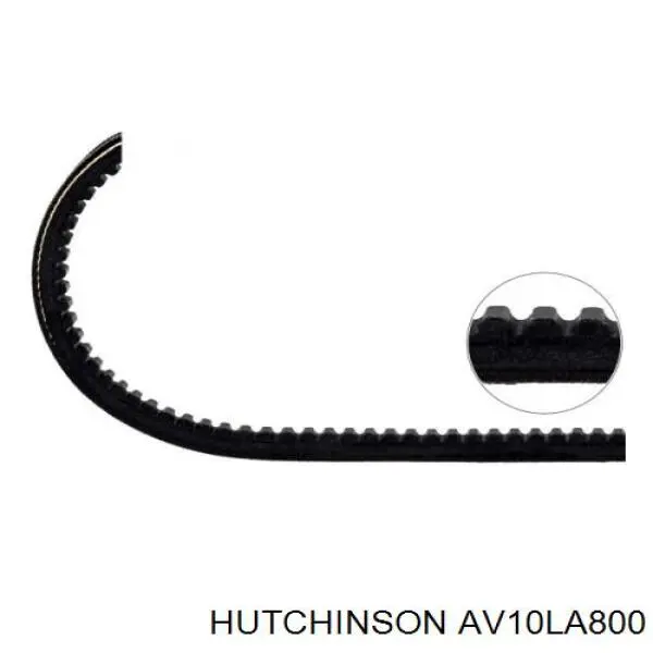 Купить AV10LA800 Hutchinson Ремень генератора