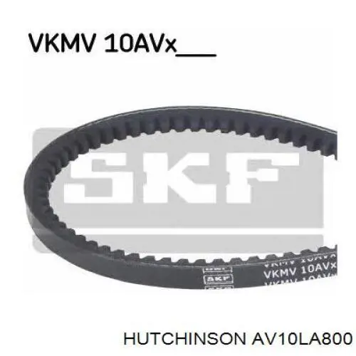 AV10LA800 Hutchinson Поликлиновый ремень