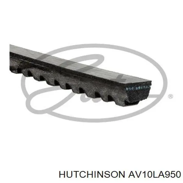 AV10LA950 Hutchinson Поликлиновый ремень