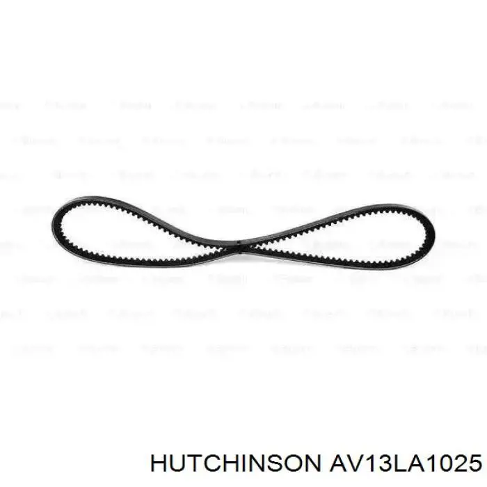 AV13LA1025 Hutchinson