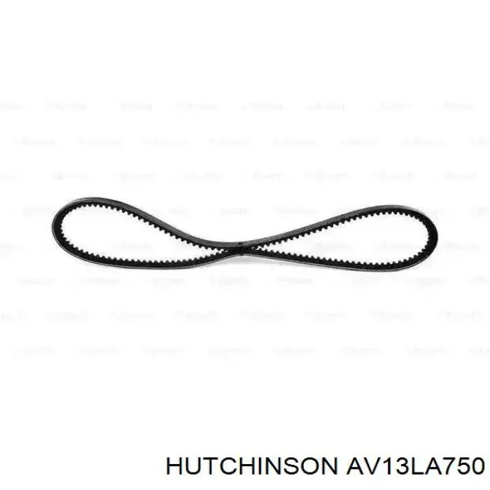 AV13LA750 Hutchinson Поликлиновый ремень