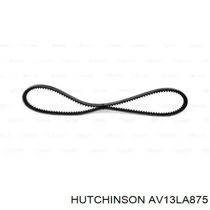 Купить AV13LA875 Hutchinson Ремень генератора