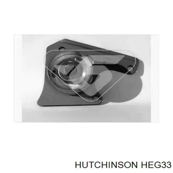 HEG33 Hutchinson