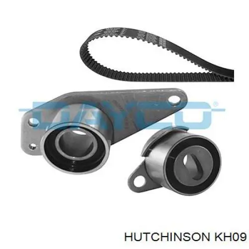 Комплект ГРМ 8671018694 Renault (RVI)