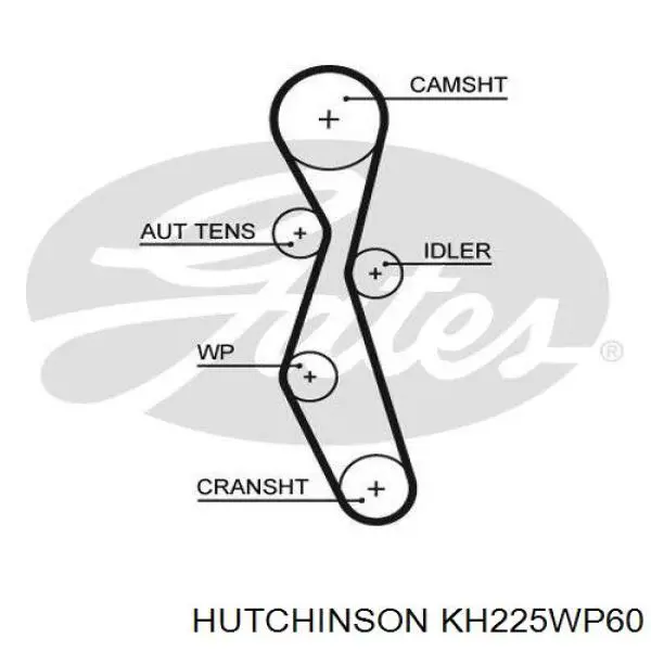 Ремень ГРМ, комплект Hutchinson KH225WP60
