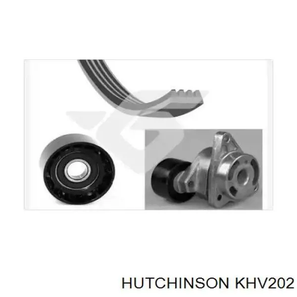 Ремень приводной KHV202 Hutchinson