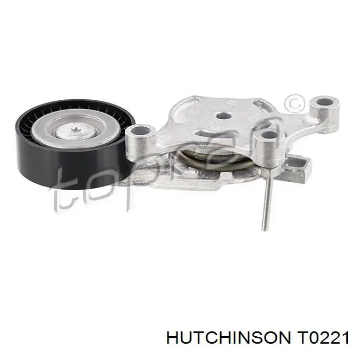 Натяжитель приводного ремня T0221 Hutchinson