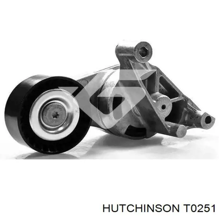 Натяжитель приводного ремня Hutchinson T0251