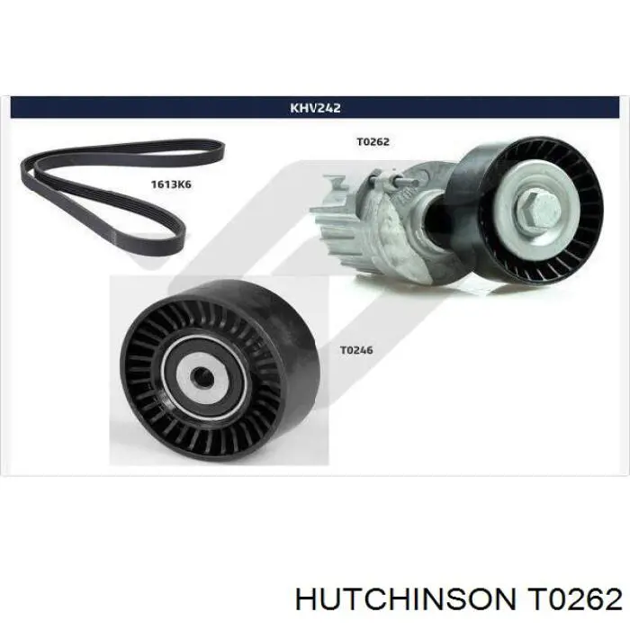 Купить T0262 Hutchinson Натяжитель приводного ремня