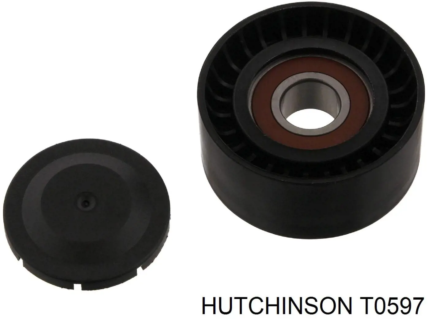 T0597 Hutchinson