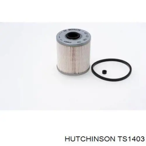 Натяжитель приводного ремня TS1403 Hutchinson