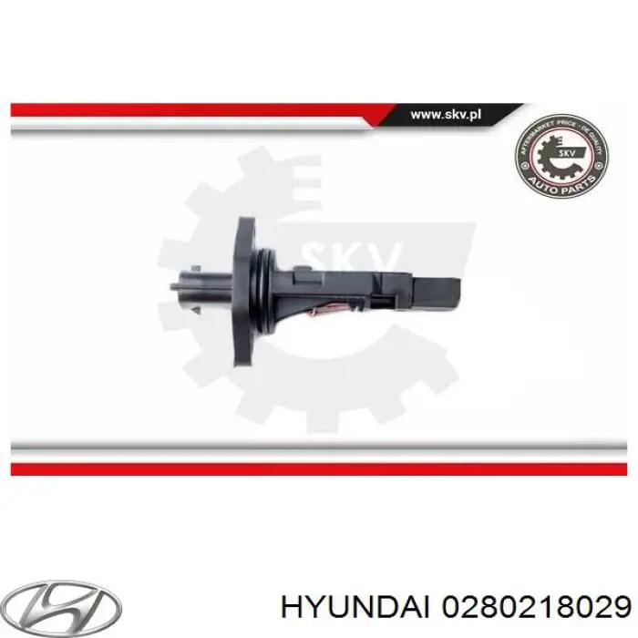 0280218029 Hyundai/Kia Датчик расхода воздуха