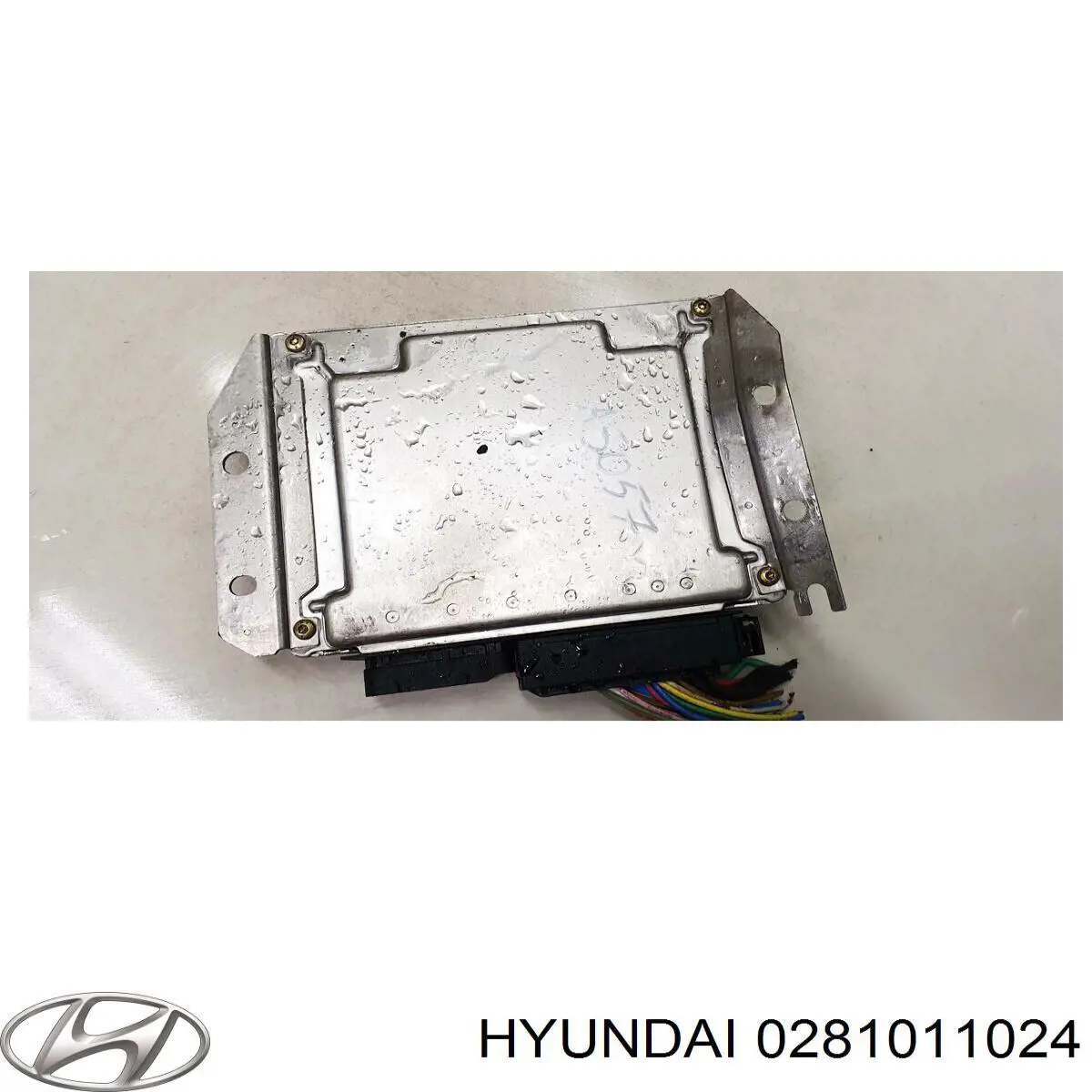 ЭБУ двигателем Hyundai/Kia 0281011024 цена, от 28.22 USD