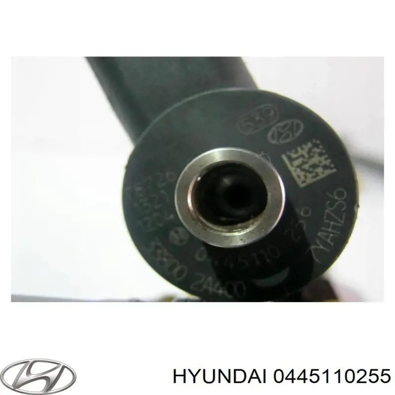Топливные форсунки на Hyundai Elantra  HD