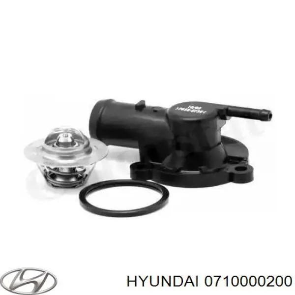 Антифриз 0710000200 Hyundai/Kia