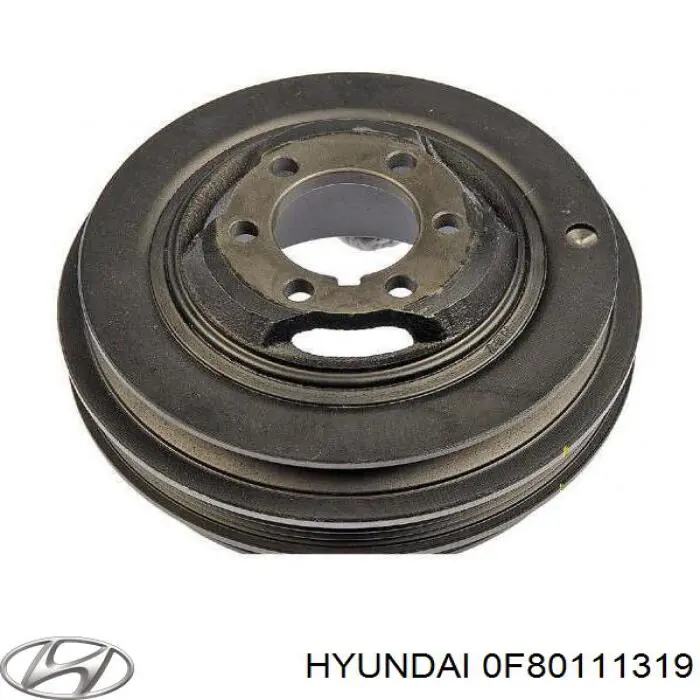 0F80111319 Hyundai/Kia 