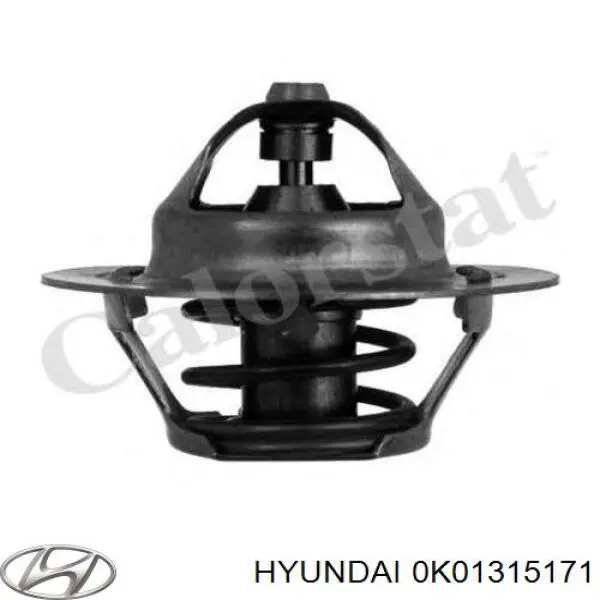 Termostato, refrigerante 0K01315171 Hyundai/Kia