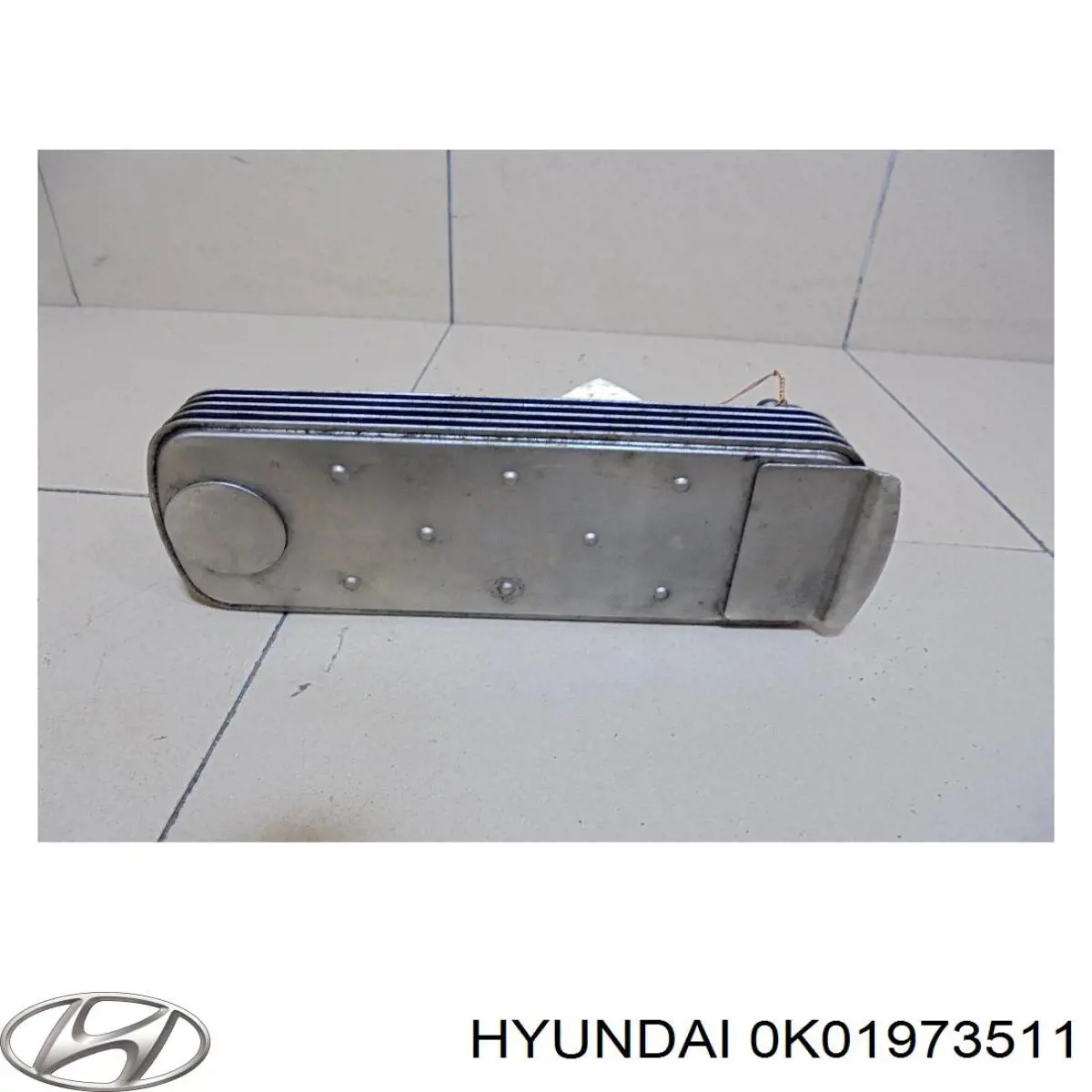 Купить GS3290D305 XYG Стекло двери задней левой