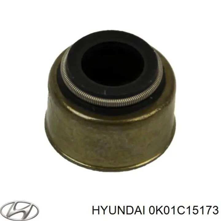 0K01C15173A Hyundai/Kia 