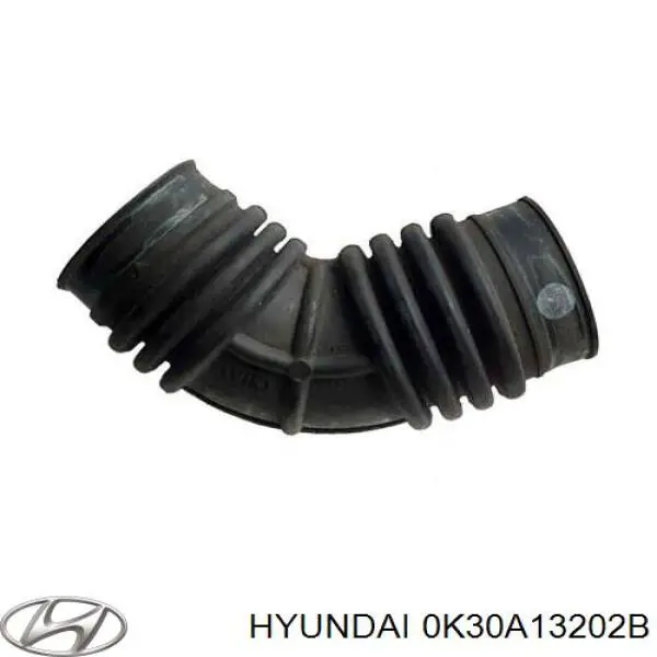 0K30A13202B Hyundai/Kia 