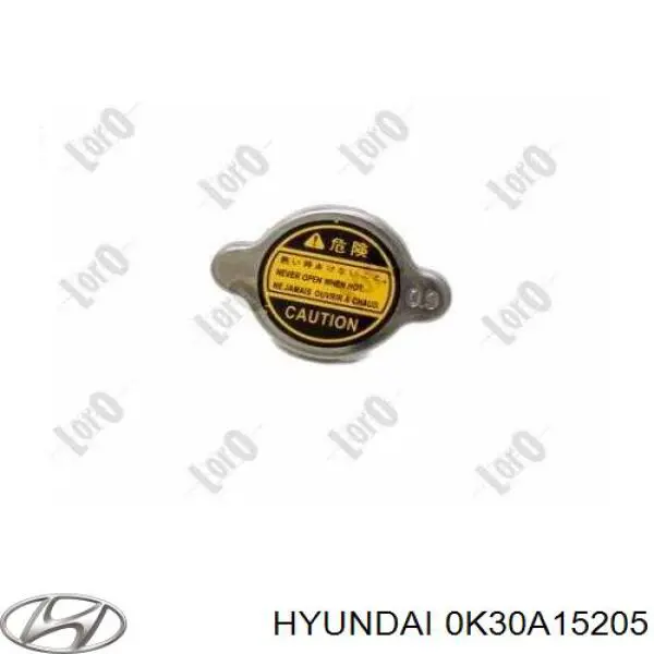  OK30A15205 Hyundai/Kia