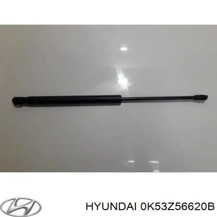 0K53Z56620B Hyundai/Kia 