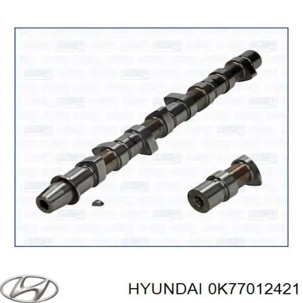 RF0112421 Hyundai/Kia 