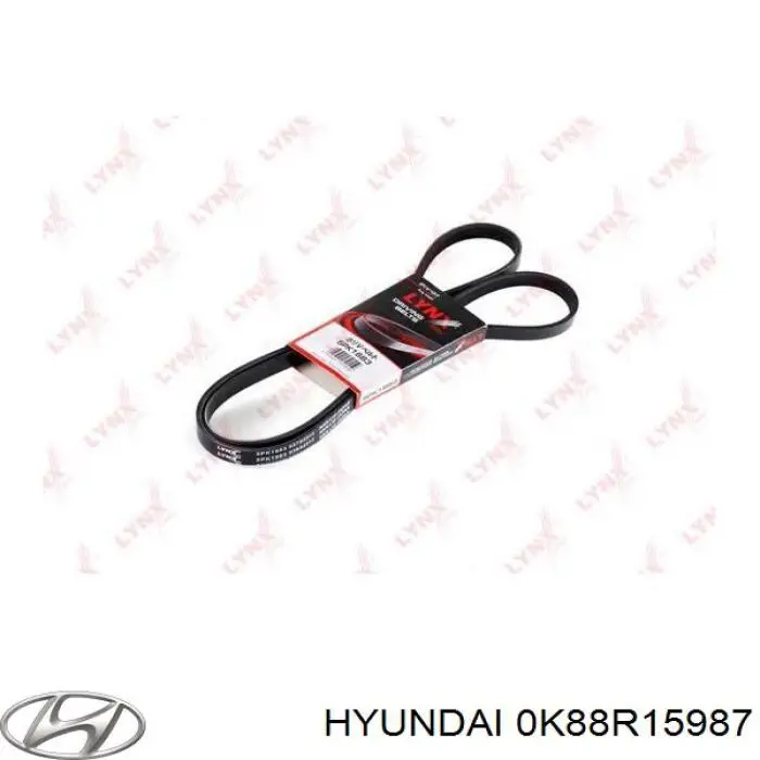 0K88R15987 Hyundai/Kia correia dos conjuntos de transmissão